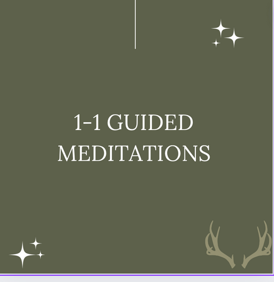 1-1 Guided Meditation Sessions